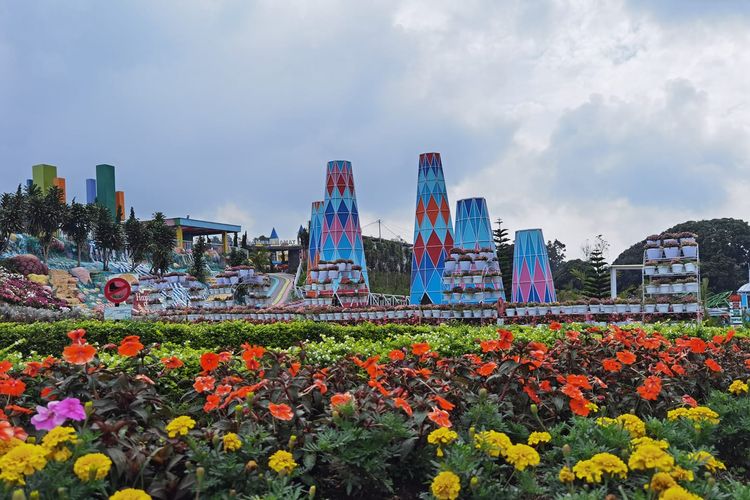 Taman Bunga Celosia 