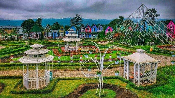 Taman Bunga Celosia 