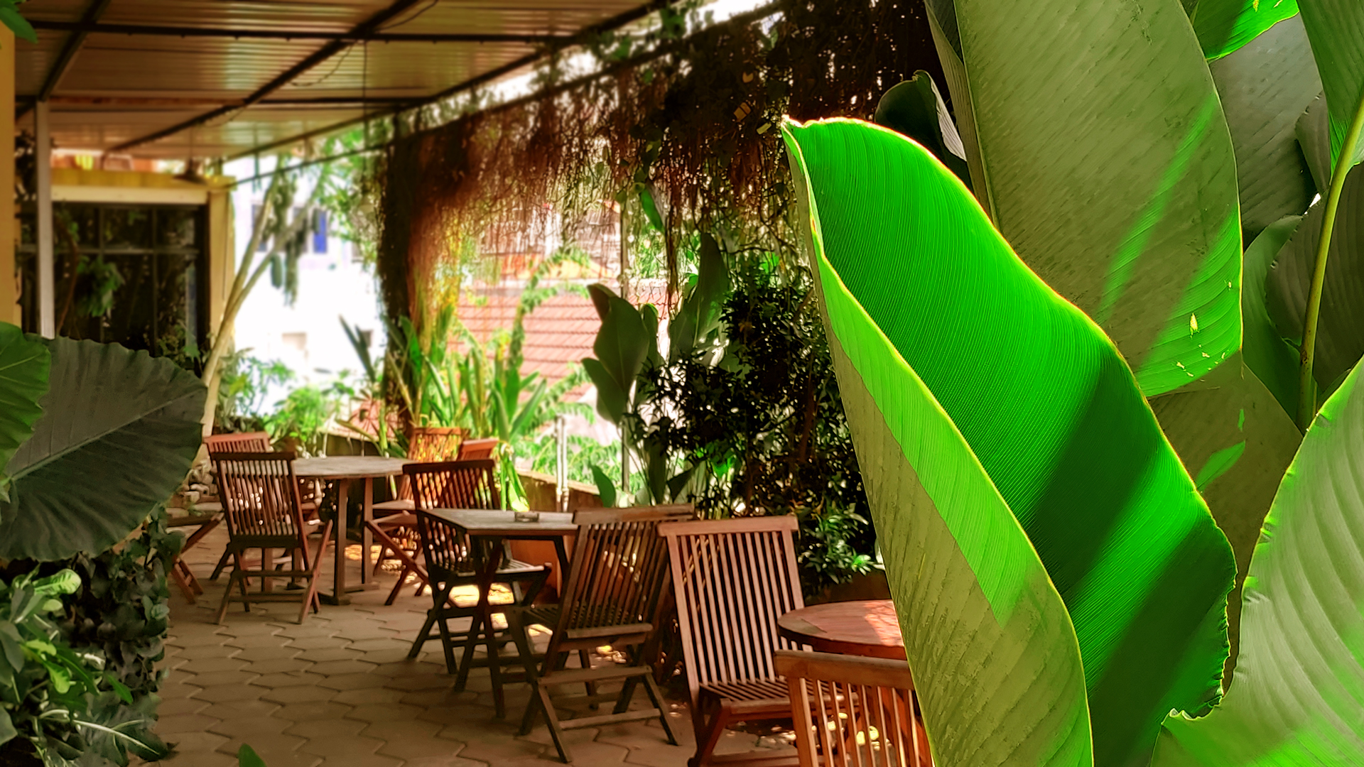 Hotel Dekat Paragon Mall Semarang